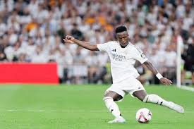 判可能是决 判可能是决